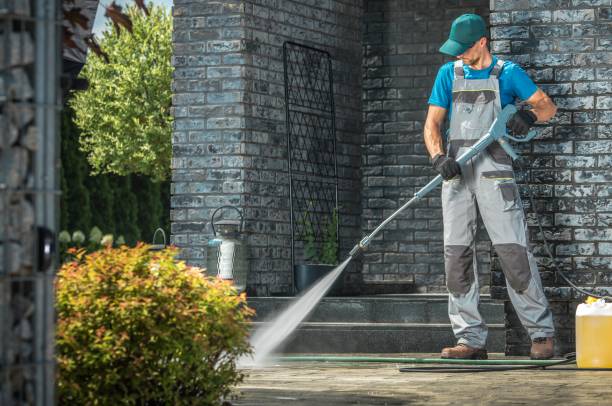 Best Solar Panel Cleaning  in Rpinteria, CA