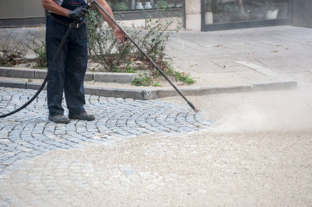 Best Fence Cleaning  in Rpinteria, CA